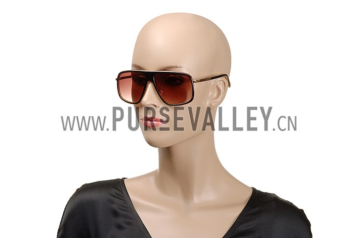 Tom Ford Brown With Gold Sunglasses 308052