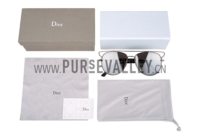 Christian Dior Technologic Silver Frame Grey Mirrorred Sunglasses 308123