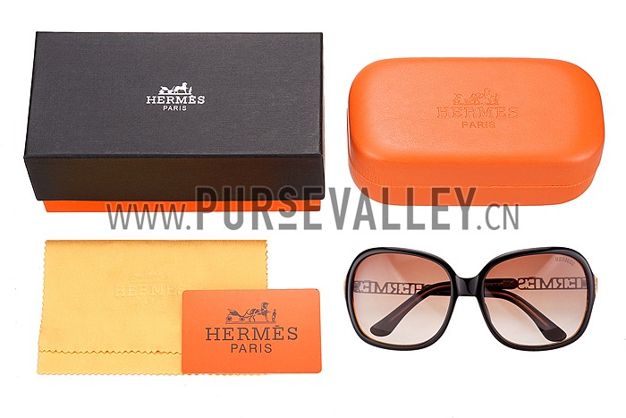 Hermes Large Oversized Brown Frame Sunglasses with Metallic Logo 308103
