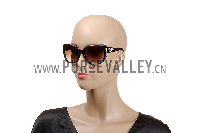 Dolce and Gabbana Brown With Silver Roses Sunglasses 308026
