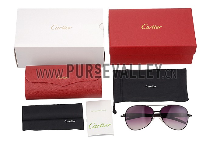 Cartier Panthere Detail Black Frame Gradient Lenses Sunglasses 308130