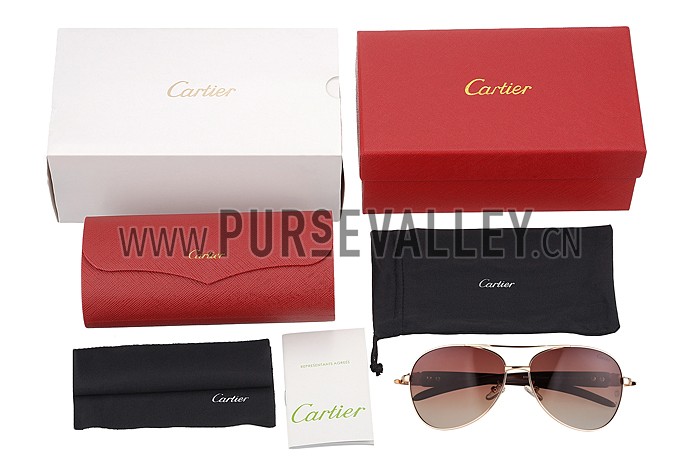 Cartier Panthere Detail Gold Frame Gradient Lenses Sunglasses 308132