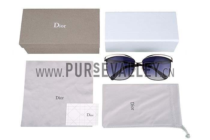 Christian Dior Demoiselle Silver Frame Dark Blue Lenses Sunglasses 308119