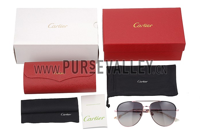 Gucci Ultra-light Aviator Pink Frame Sunglasses 308205