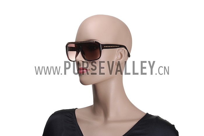Louis Vuitton Evidence Brown Sunglasses 307857