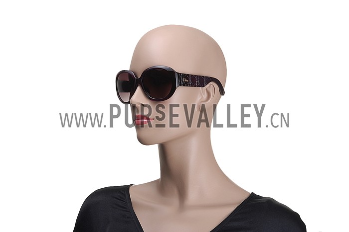Christian Dior Lady In Dior 2 Plum Sunglasses 307776