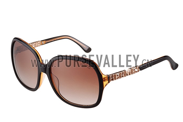 Hermes Large Oversized Brown Frame Sunglasses with Metallic Logo 308103