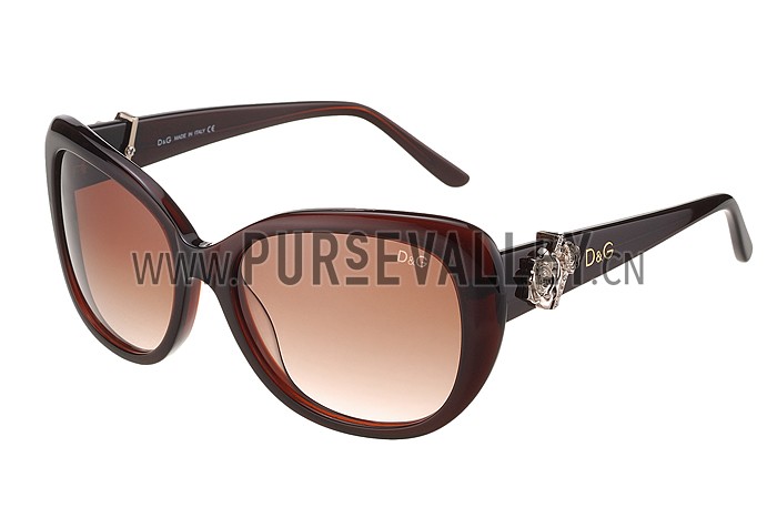 Dolce and Gabbana Brown With Silver Roses Sunglasses 308026