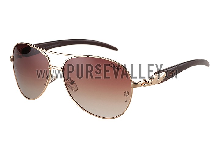 Cartier Panthere Detail Gold Frame Gradient Lenses Sunglasses 308132