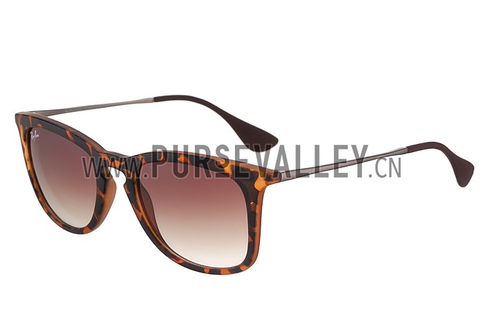 Ray Ban Wayfarer Light-Ray Tortoise Frame Brown Lenses Sunglasses 308238