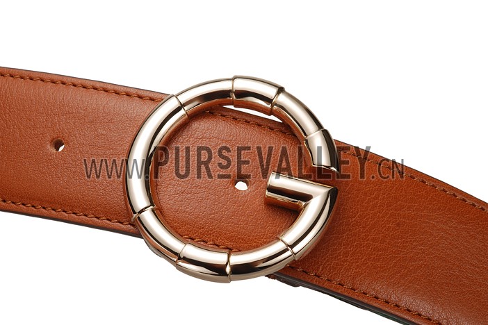 Gucci Web Brown Leather Belt with Golden Rimmed Buckle