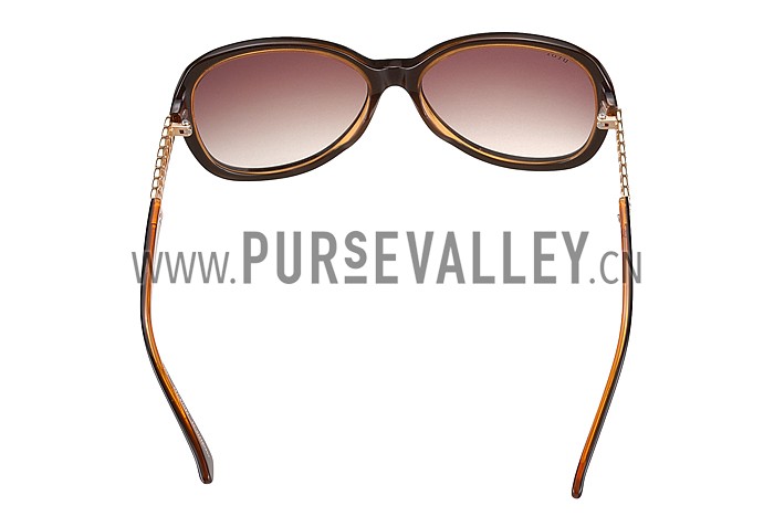 Christian Dior Brillance Brown Frame Sunglasses 308064