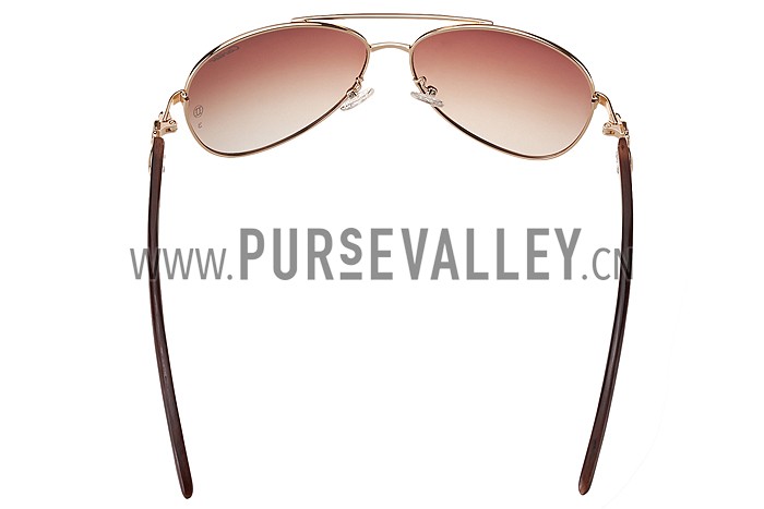 Cartier Panthere Detail Gold Frame Gradient Lenses Sunglasses 308132