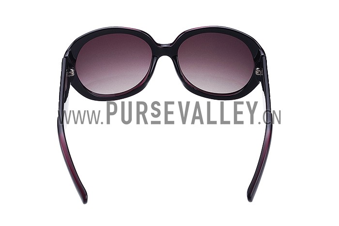 Christian Dior Lady In Dior 2 Plum Sunglasses 307776