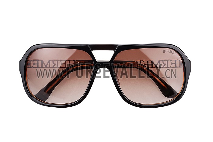 Hermes Aviator With Hermes Logo Brown Sunglasses 307851