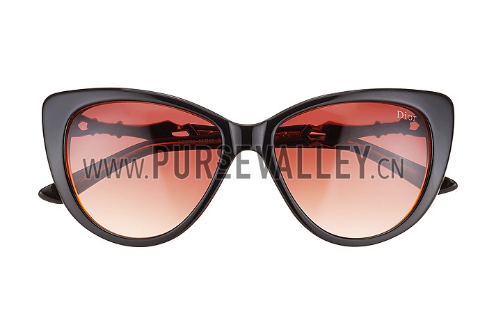Christian Dior Cat Eye With 3 Stars Brown Sunglasses 308024