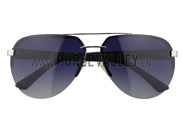 Cartier Wild Panthere Detail Silver Frame Silver Temples Sunglasses 308191