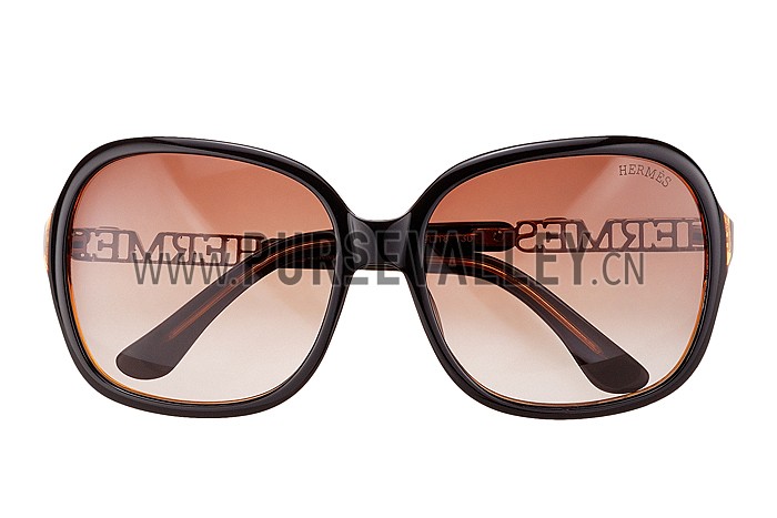 Hermes Large Oversized Brown Frame Sunglasses with Metallic Logo 308103