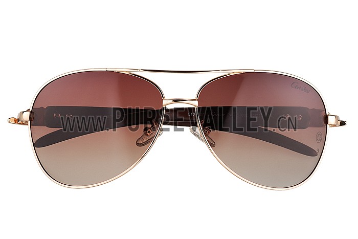 Cartier Panthere Detail Gold Frame Gradient Lenses Sunglasses 308132