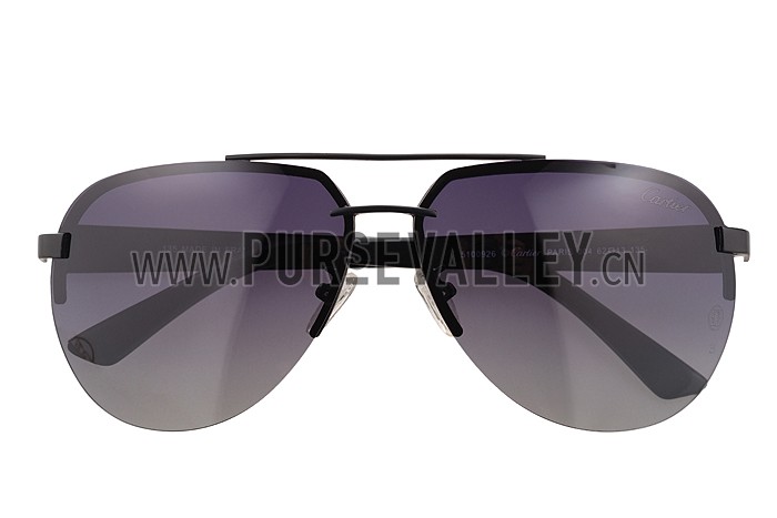 Cartier Wild Panthere Detail Black Frame Sunglasses 308188