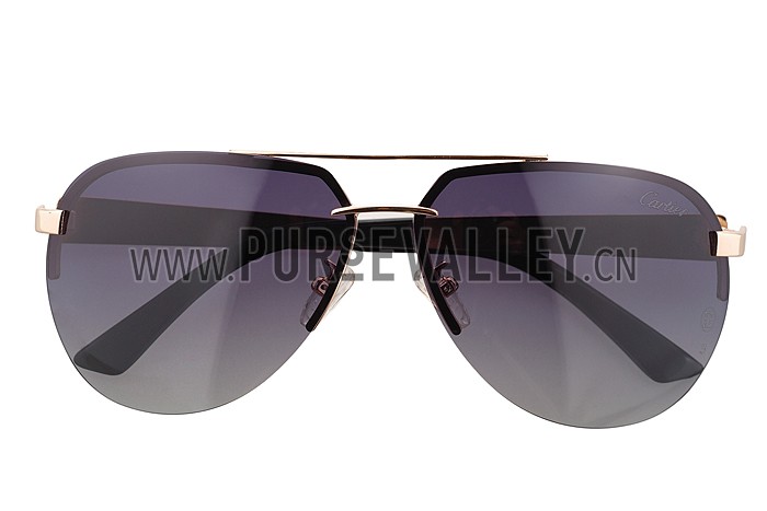 Cartier Wild Panthere Detail Gold Frame Gold Temples Sunglasses 308190