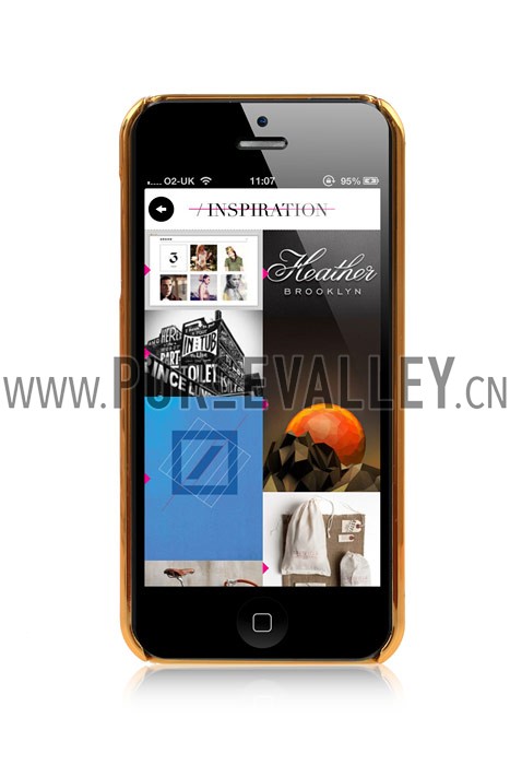 Gucci Black Back Cover Case for iPhone 5