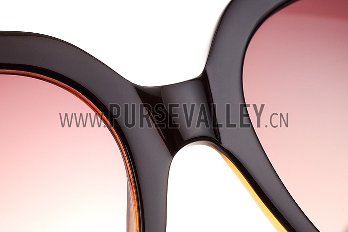 Fendi Oprah Classic Brown Frame Sunglasses 308077