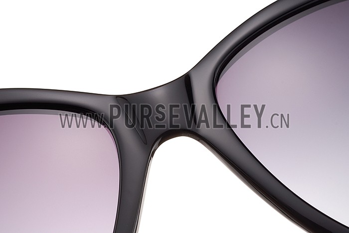 Christian Dior Cat Eye With 3 Stars Black Silver Sunglasses 308023