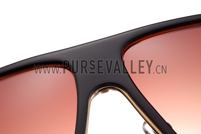 Tom Ford Brown With Gold Sunglasses 308052