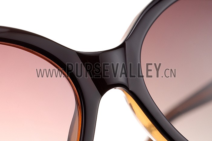 Christian Dior Brillance Brown Frame Sunglasses 308064