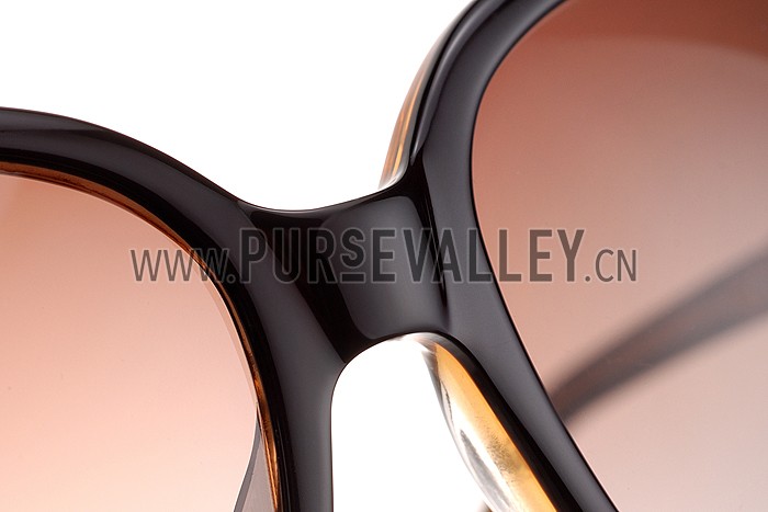 Hermes Large Oversized Brown Frame Sunglasses with Metallic Logo 308103