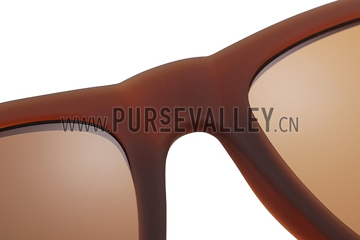 Ray Ban Justin Brown Frame Brown Lenses Sunglasses 308232