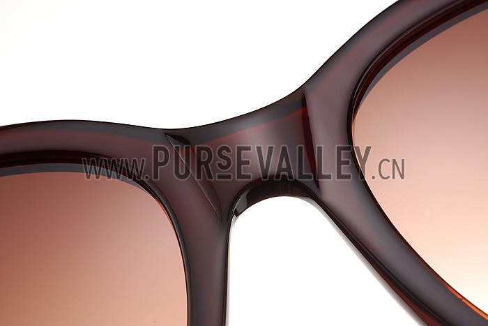 Dolce and Gabbana Brown With Silver Roses Sunglasses 308026