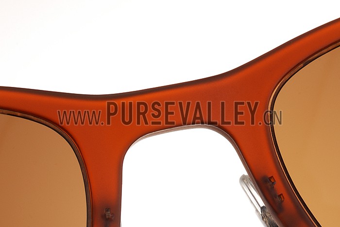 Ray Ban New Wayfarer Light-Ray Brown Frame Brown Lenses Sunglasses 308177