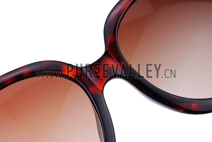 Christian Dior Lady In Dior 2 Red Sunglasses 307773