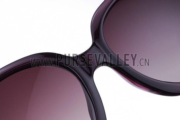 Christian Dior Lady In Dior 2 Plum Sunglasses 307776