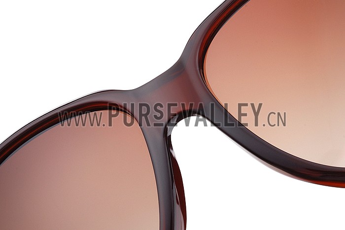 Gucci Modern Shape Brown Sunglasses 307811