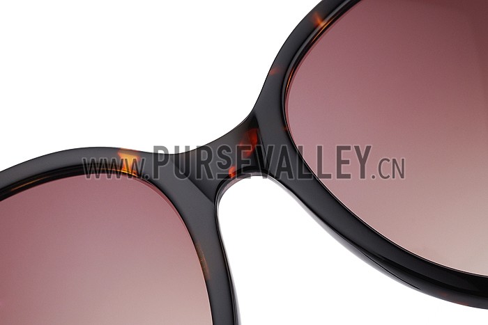 Hermes Carriage Motif Havana Sunglasses 307832