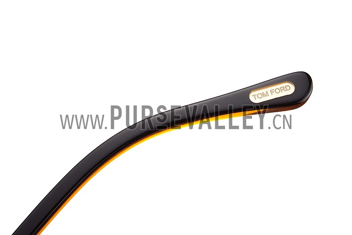 Tom Ford Brown With Gold Sunglasses 308052