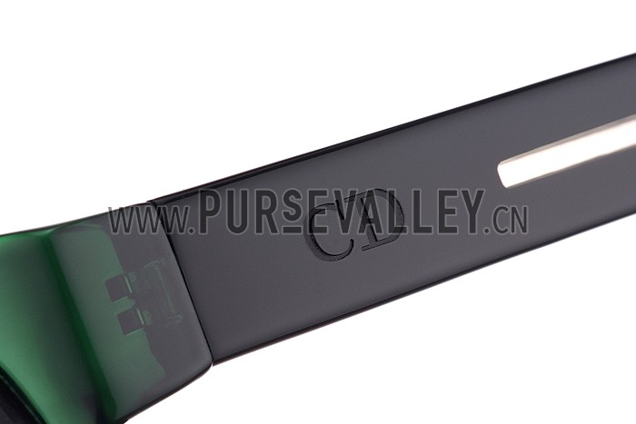 Christian Dior Homme Panto Green Lens Sunglasses 307895