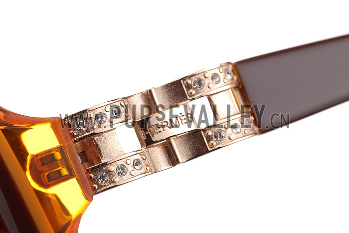 Hermes Oversized Round Frame Brown Sunglasses 308099