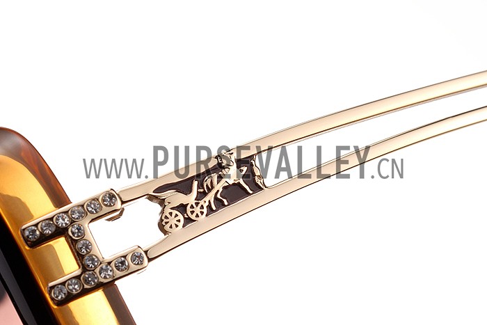 Hermes Studded Carriage Detail Brown Frame Sunglasses 308093