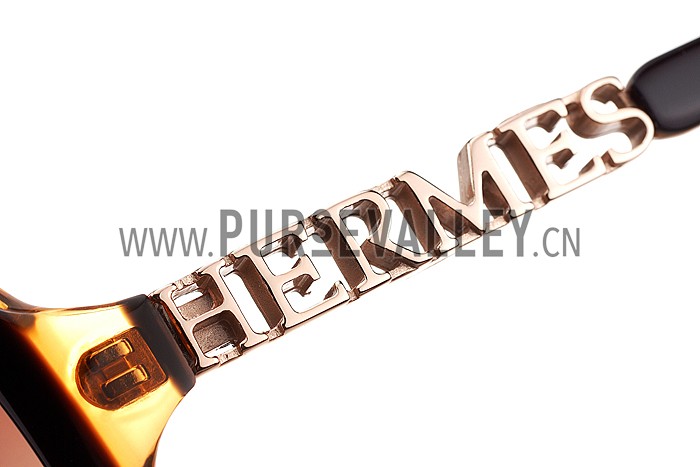 Hermes Large Oversized Brown Frame Sunglasses with Metallic Logo 308103