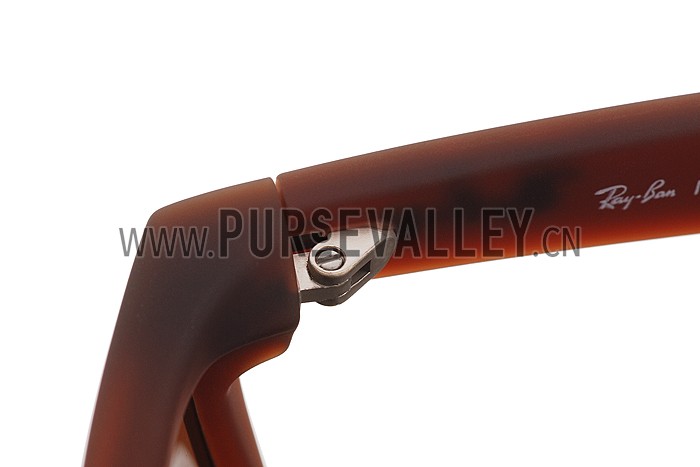 Ray Ban Justin Brown Frame Brown Lenses Sunglasses 308232