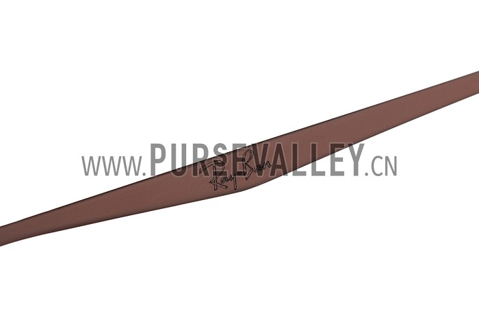 Ray Ban Aviator Liteforce Brown Frame Black Lenses Sunglasses 308168