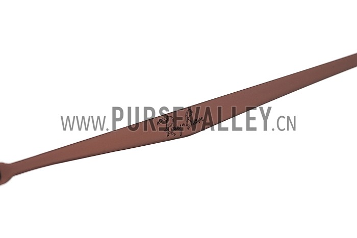 Ray Ban New Wayfarer Light-Ray Tortoise Frame Brown Lenses Sunglasses 308178