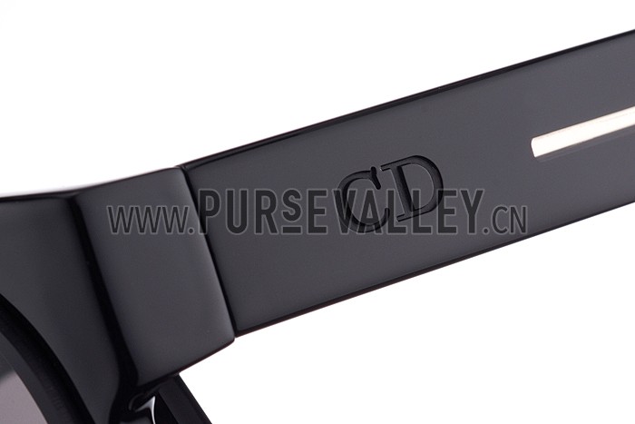 Christian Dior Homme Panto Black Lens Sunglasses 307894