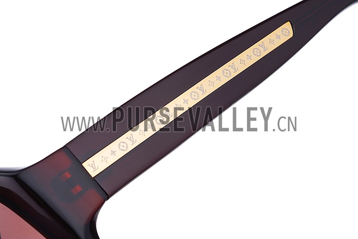 Louis Vuitton Evidence Brown Sunglasses 307857