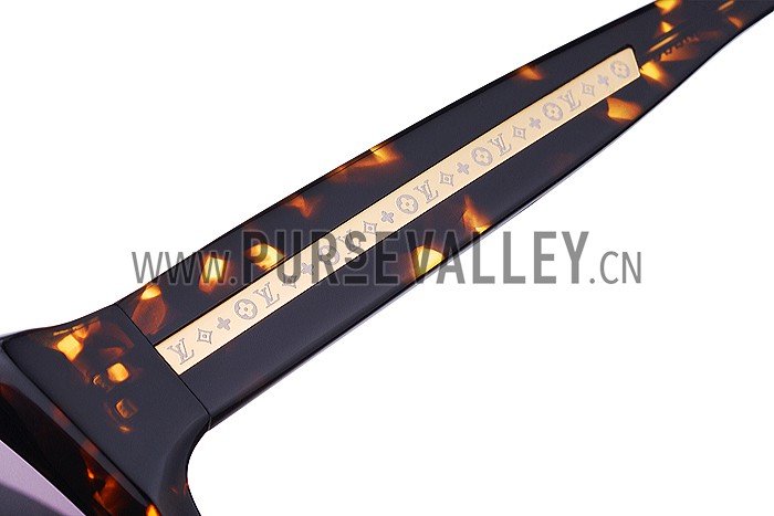 Louis Vuitton Evidence Tortoise Sunglasses 307858