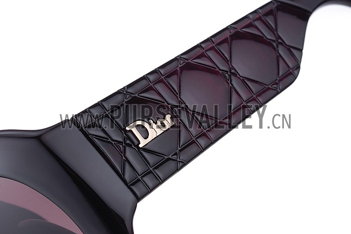 Christian Dior Lady In Dior 2 Plum Sunglasses 307776